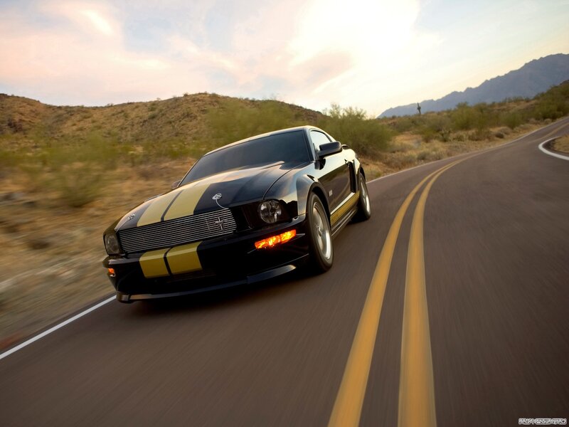 Black and Yellow Mustang — Dynamic