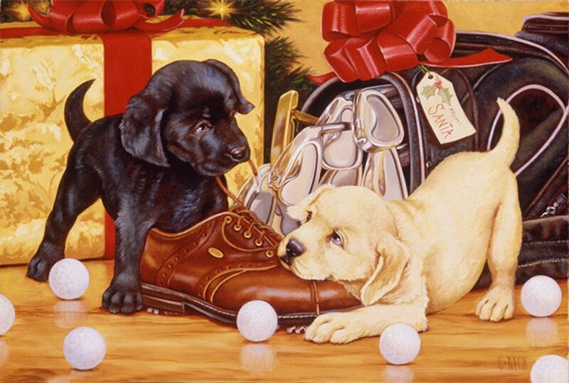 Black and Yellow Puppies — Brown