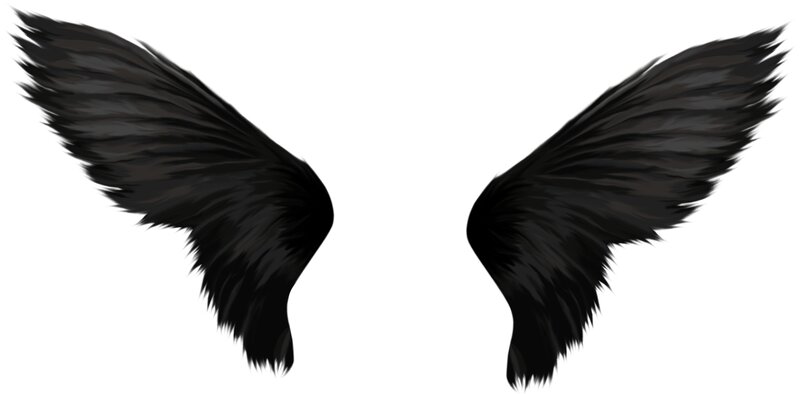 black angel wings