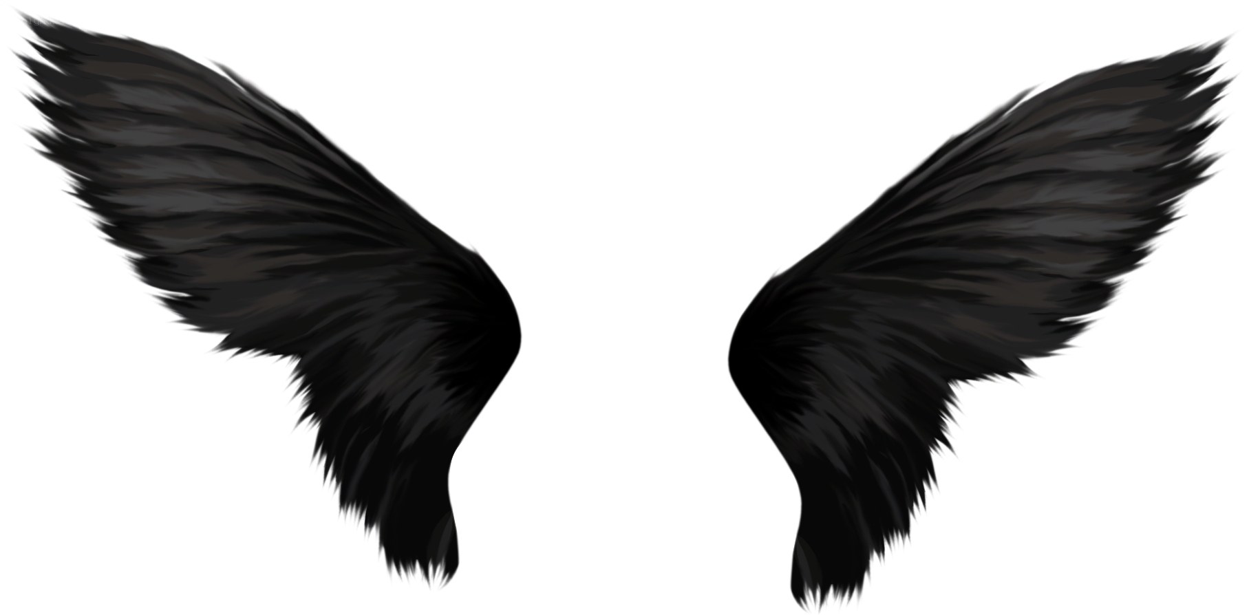 black angel wings