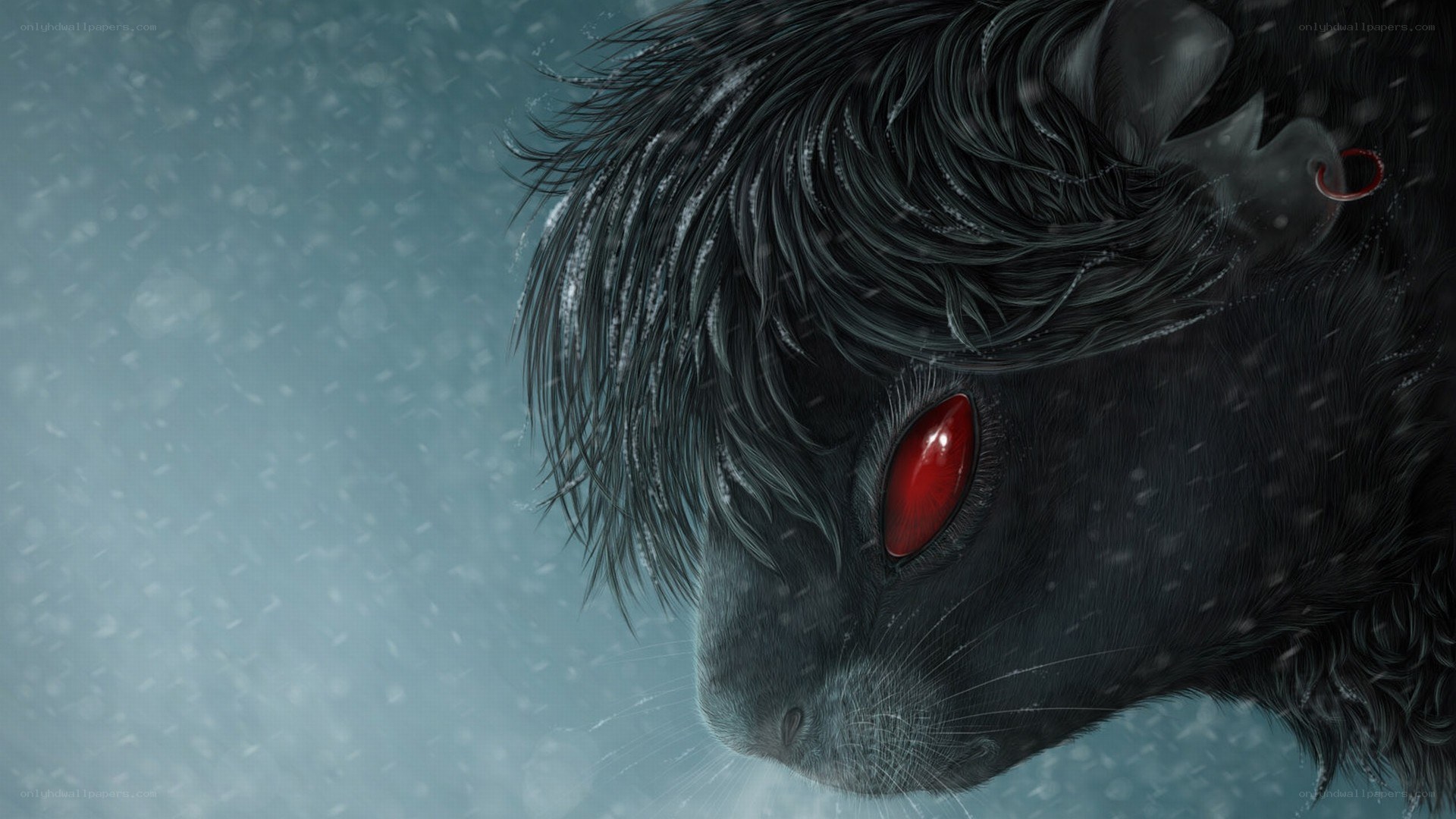 black animal with red eyes
