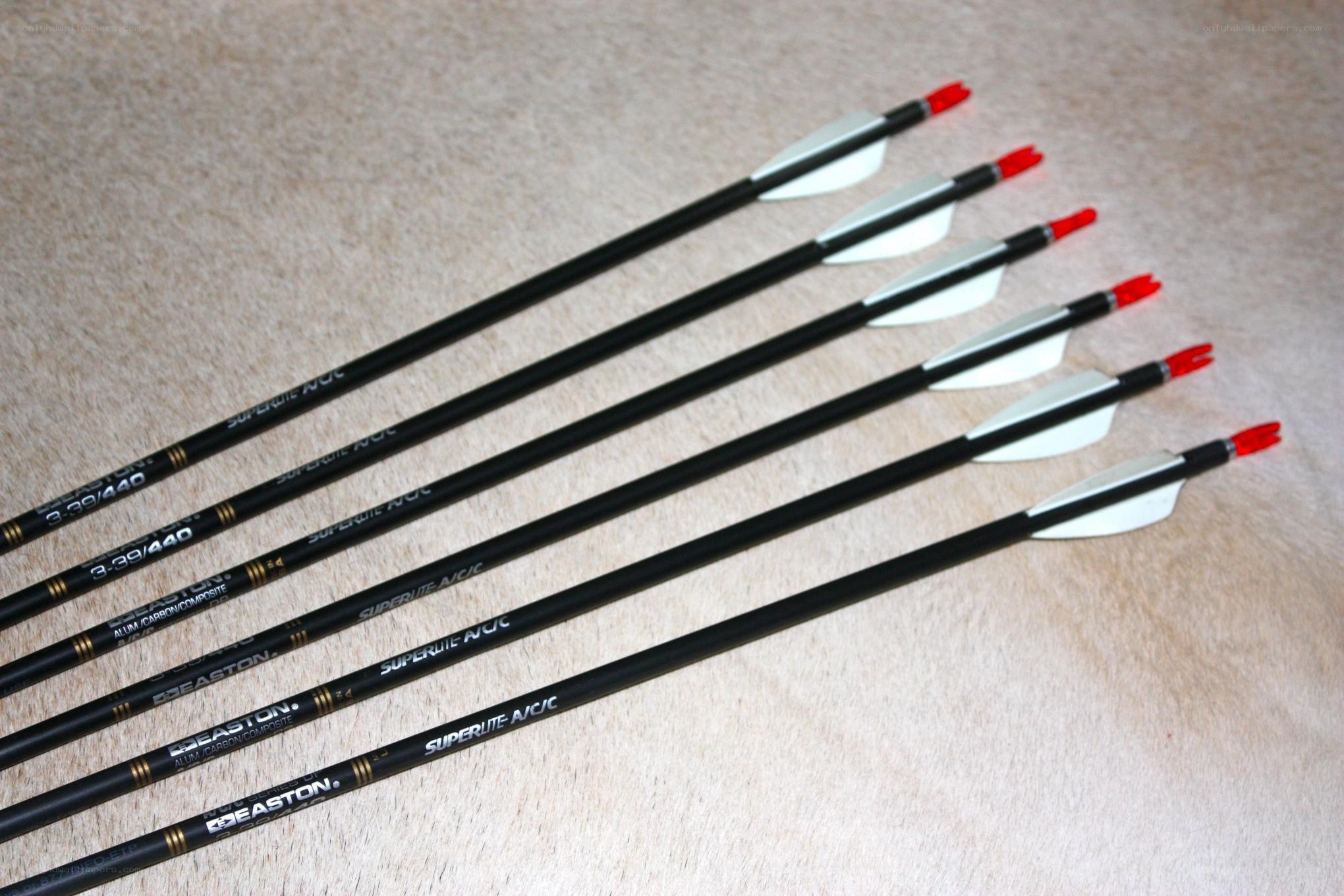 black arrows with red fletchings