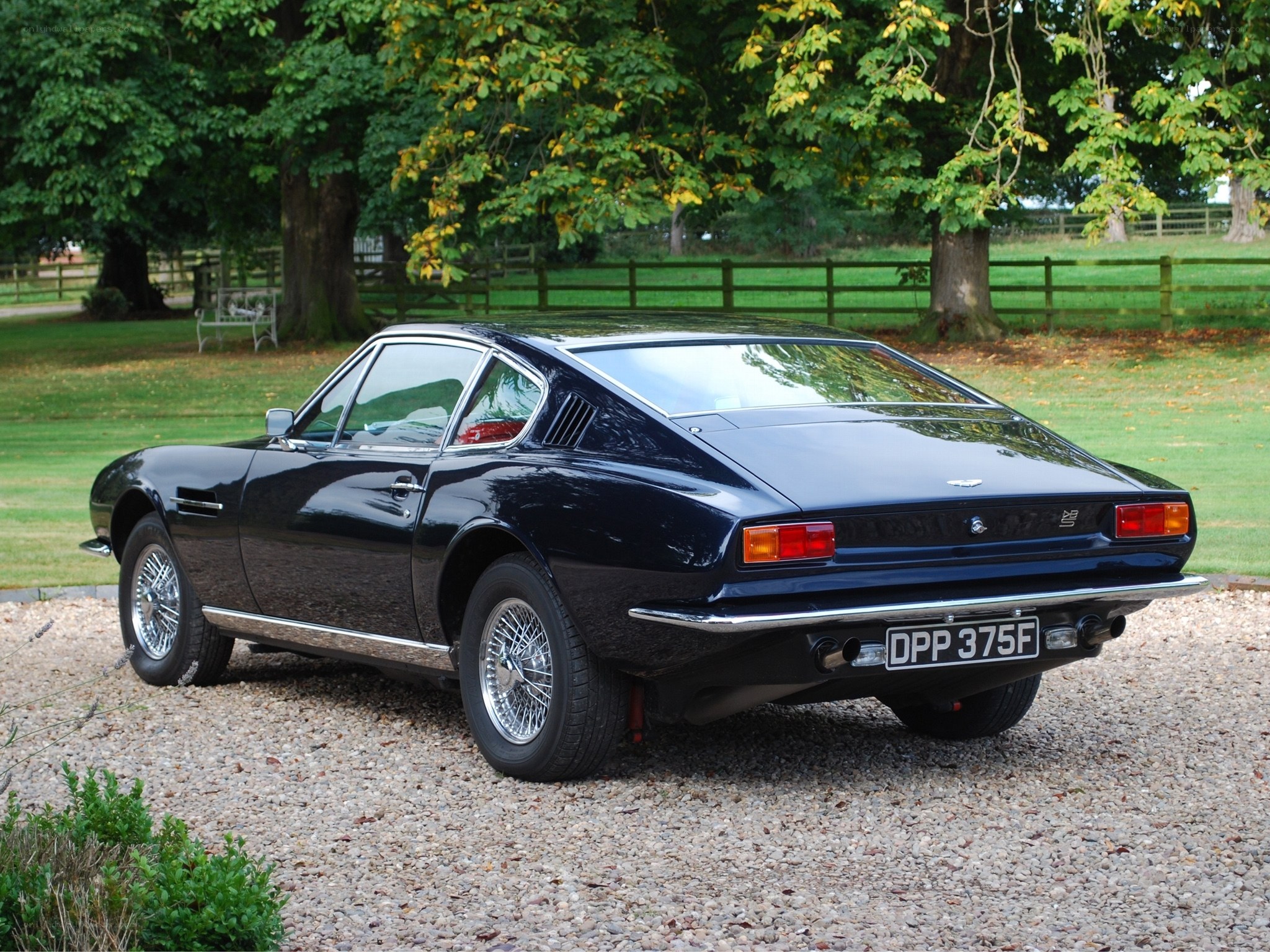 Black Aston Martin DBS