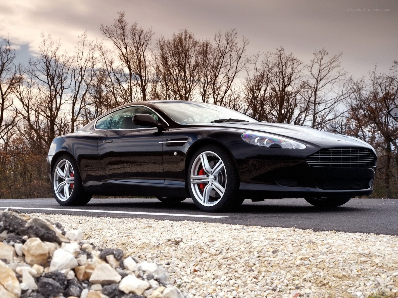 Black Aston Martin on a road