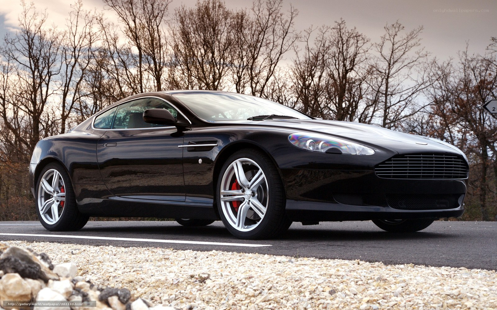 Black Aston Martin on a road