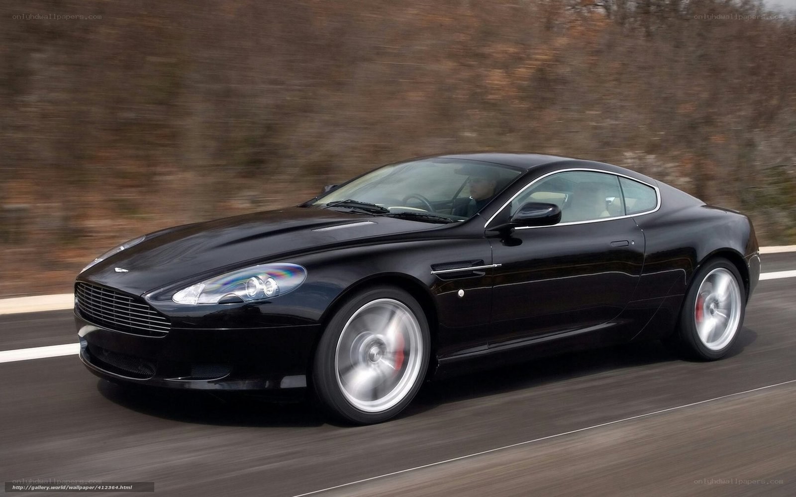 Black Aston Martin on road
