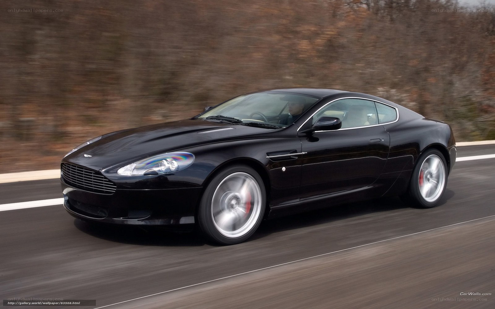 black aston martin on road