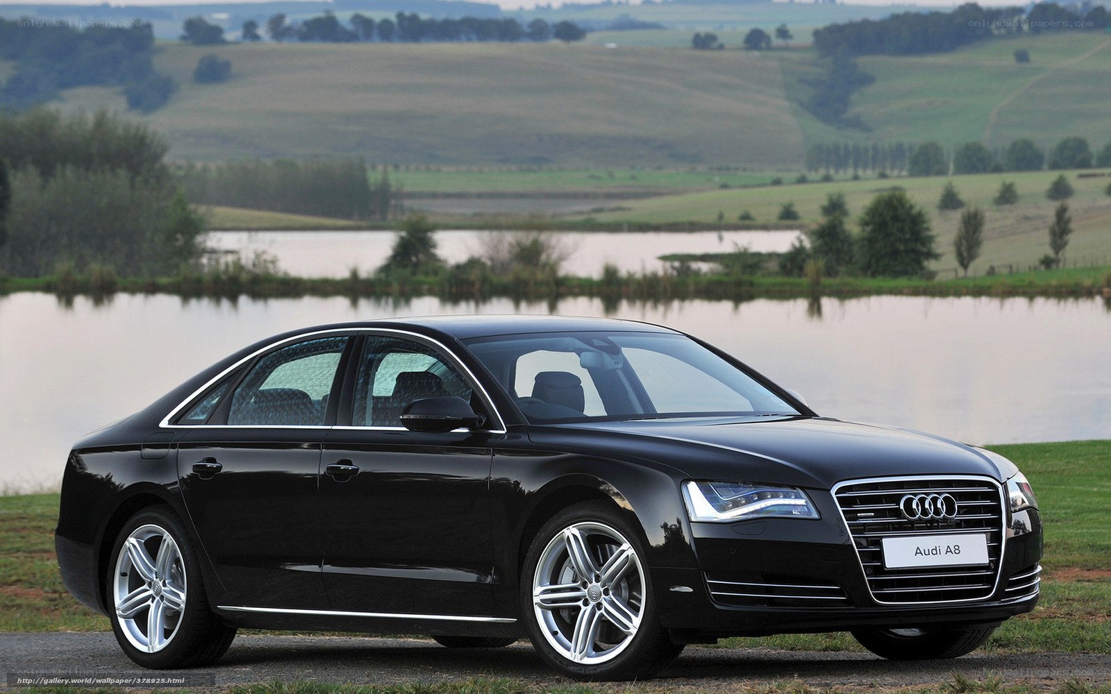 Black Audi A8 by a lake