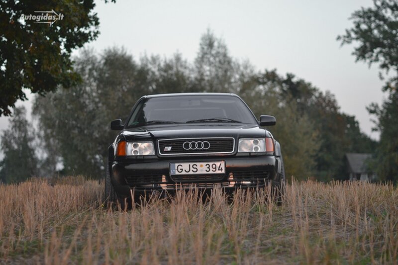 Black Audi Car — Calm, Autumn