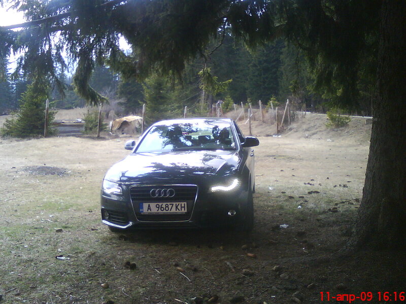 Black Audi Car — Green, Natural