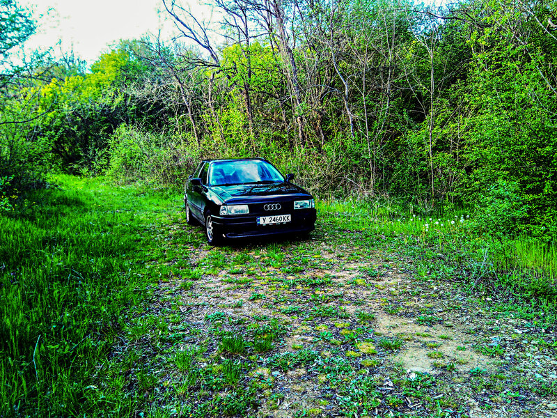 Black Audi Car — Green, Serene