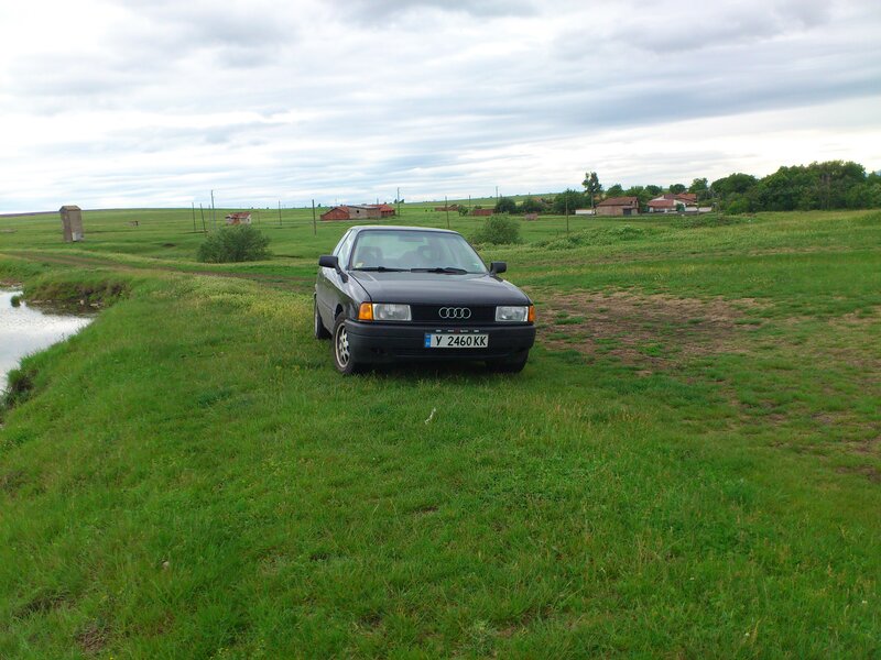 Black Audi Car — Green