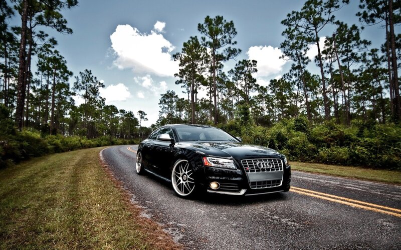 Black Audi Car — Serene, Afternoon