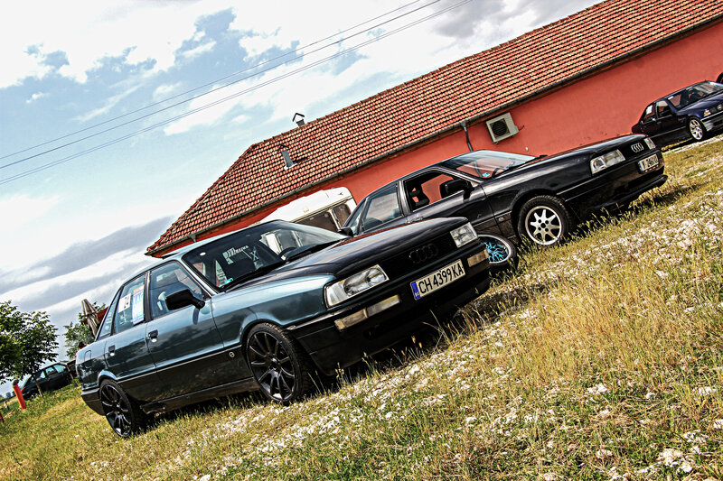 Black Audi Cars in Field
