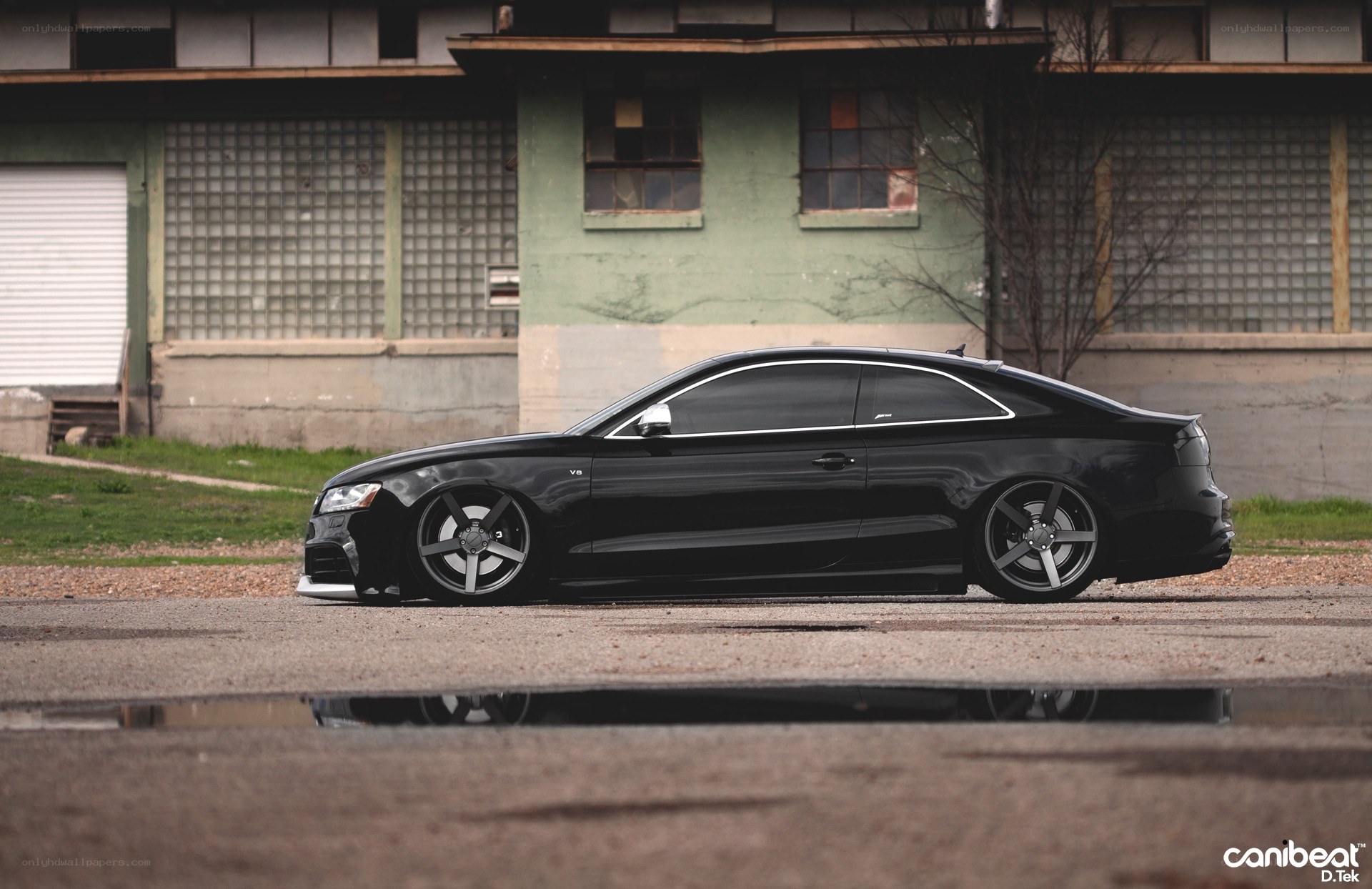 Black Audi coupe in urban setting