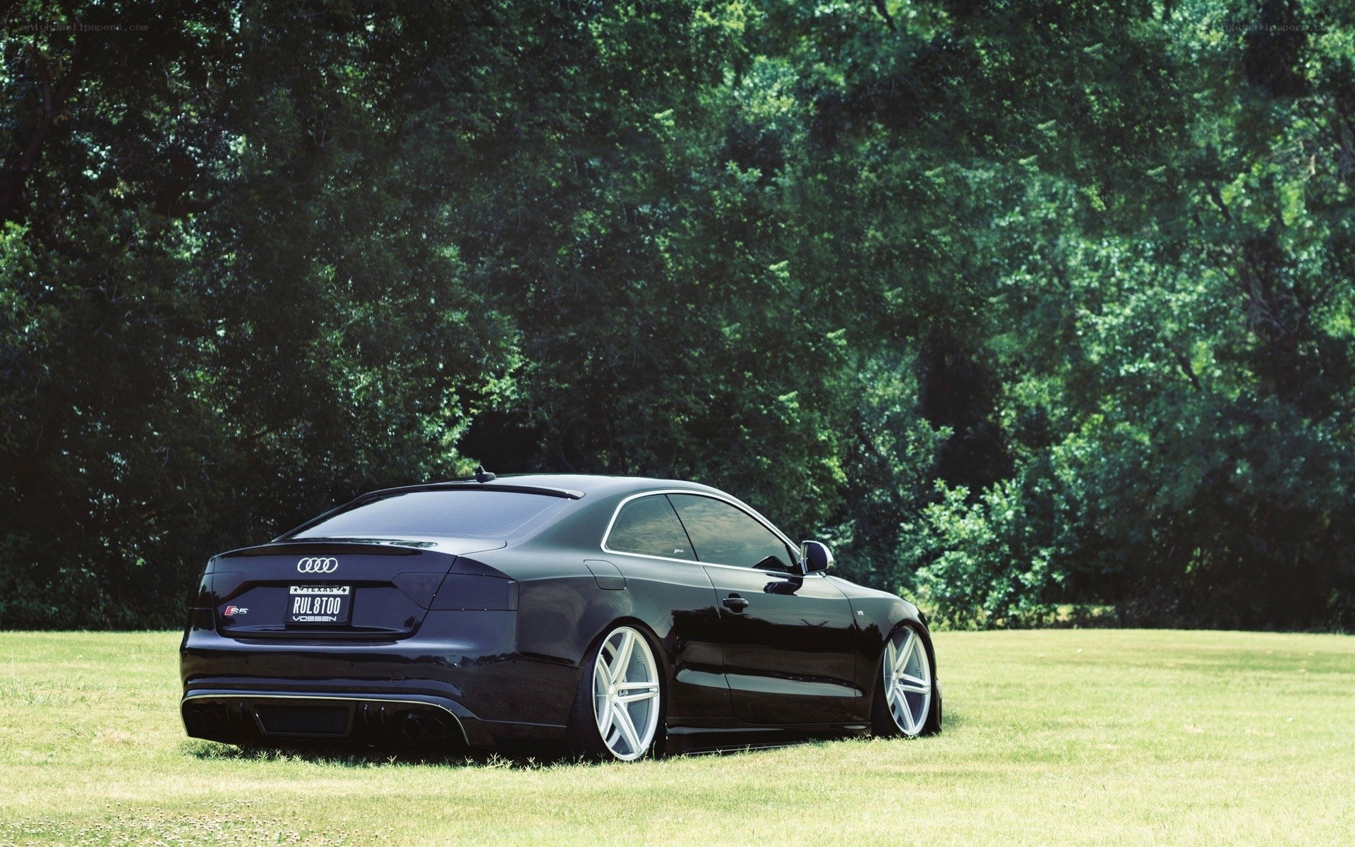 black audi coupe on grass