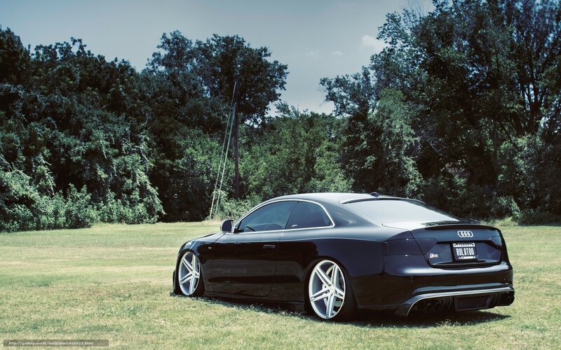 Black Audi Coupe — Serene, Afternoon