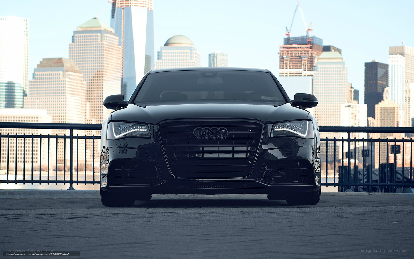 Black Audi in cityscape
