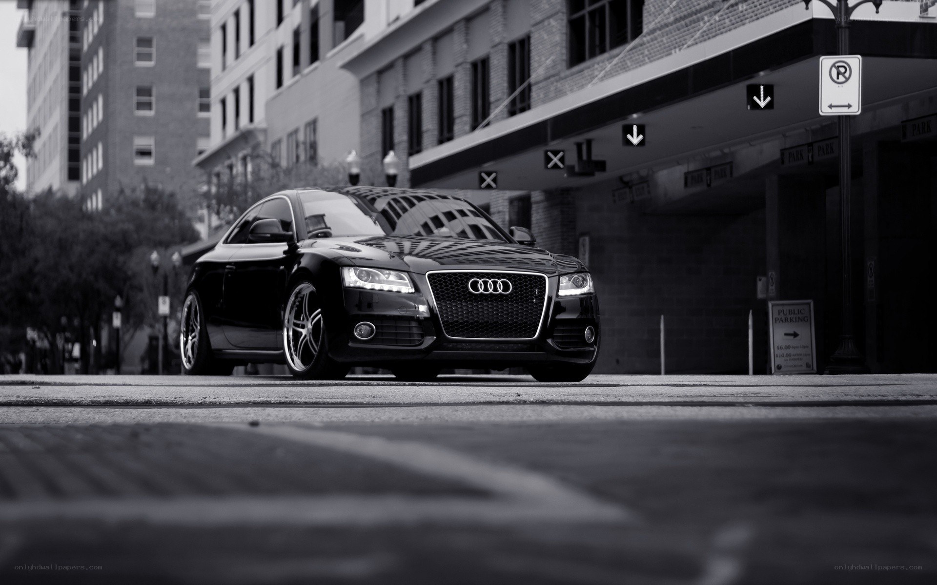 Black Audi in urban setting