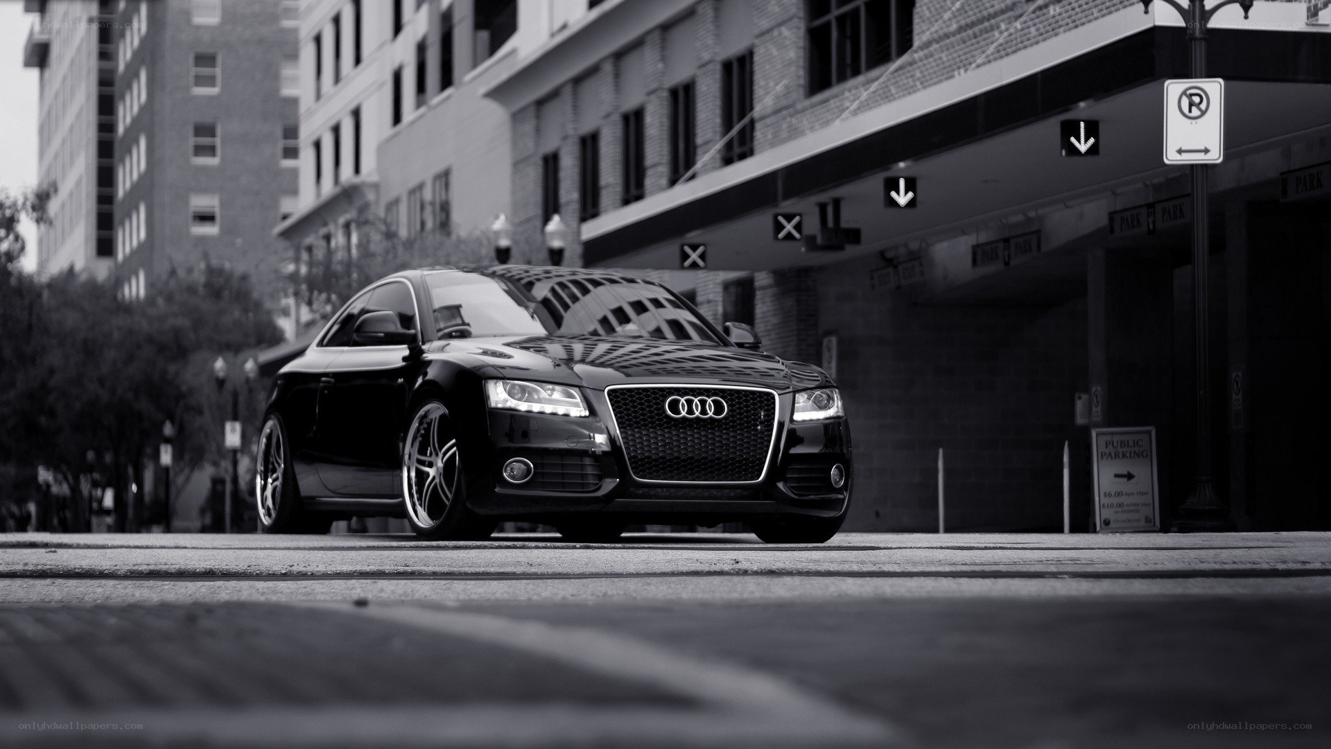 Black Audi in urban setting