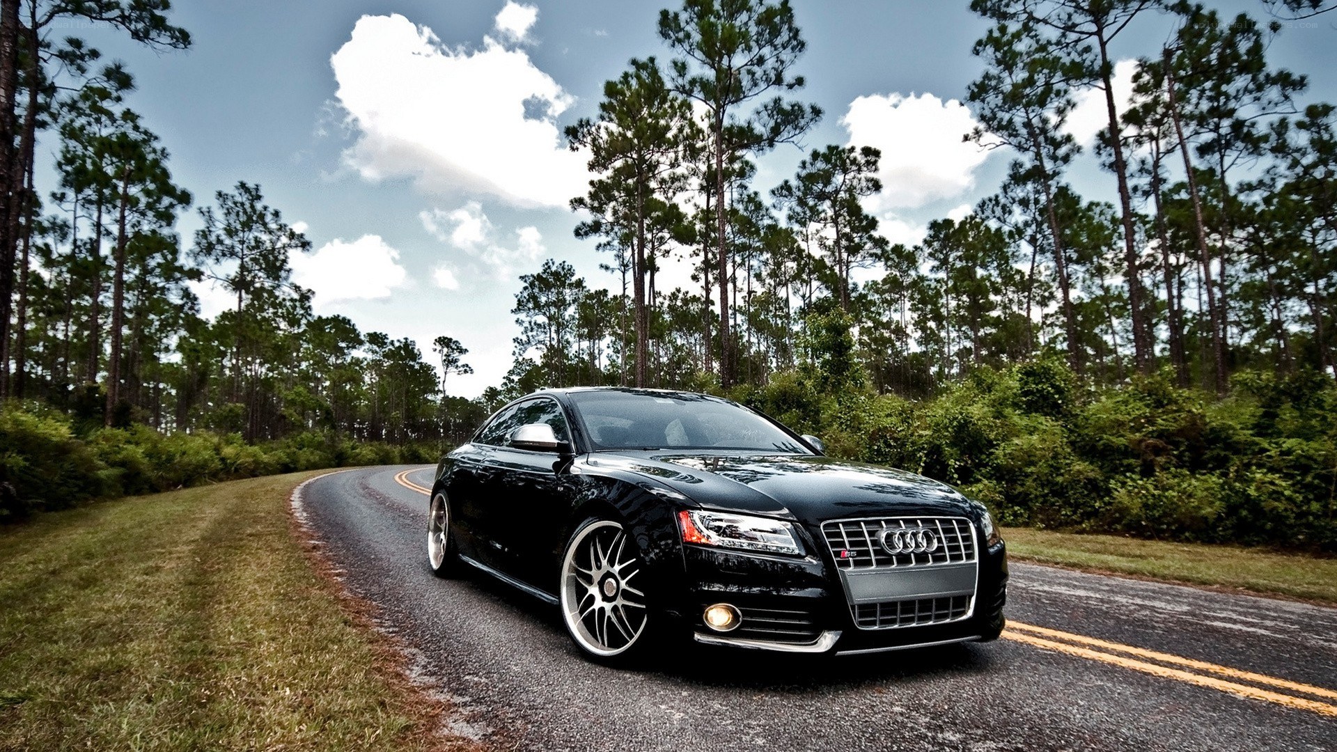 Black Audi on a forest road