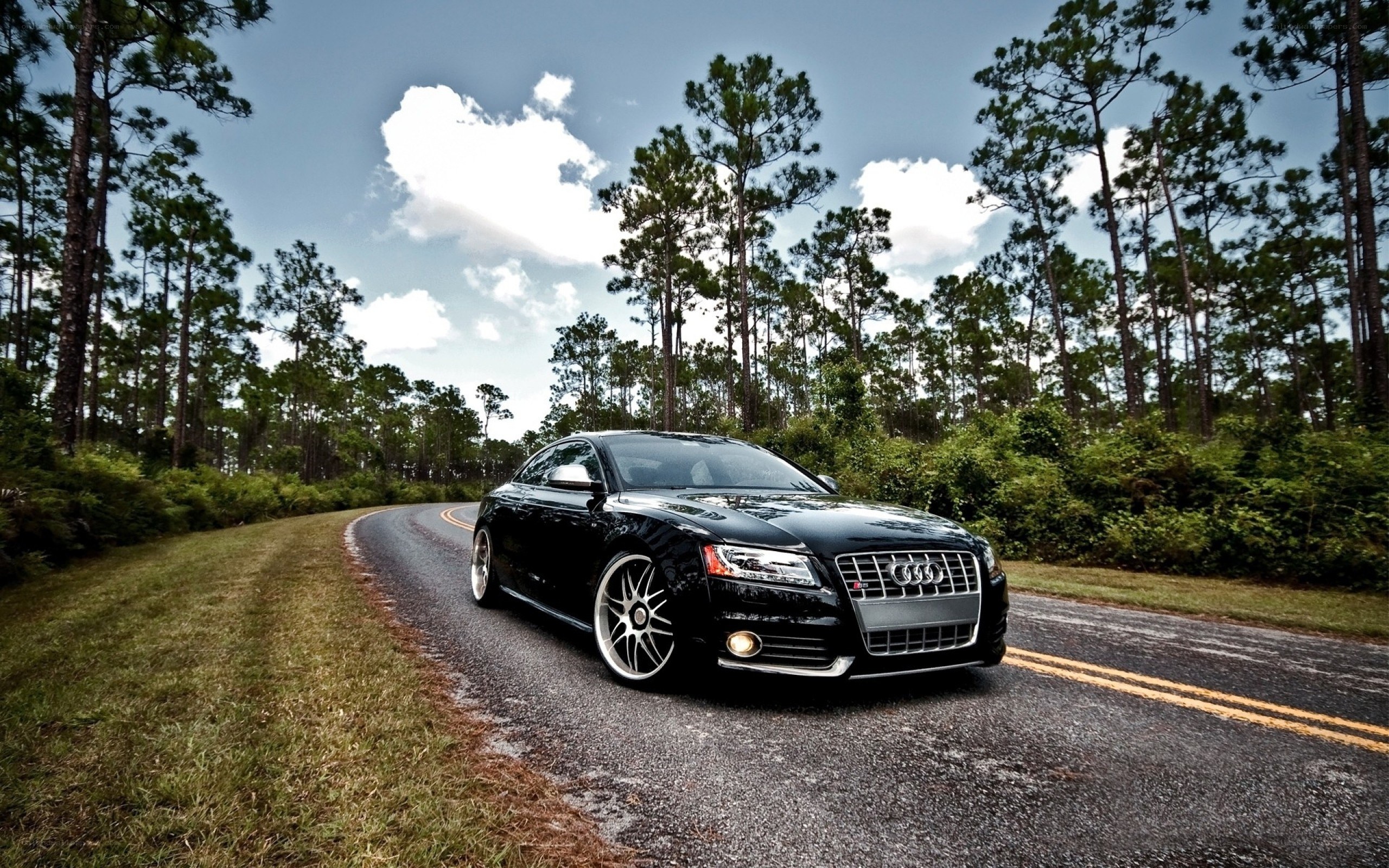 Black Audi on a forest road