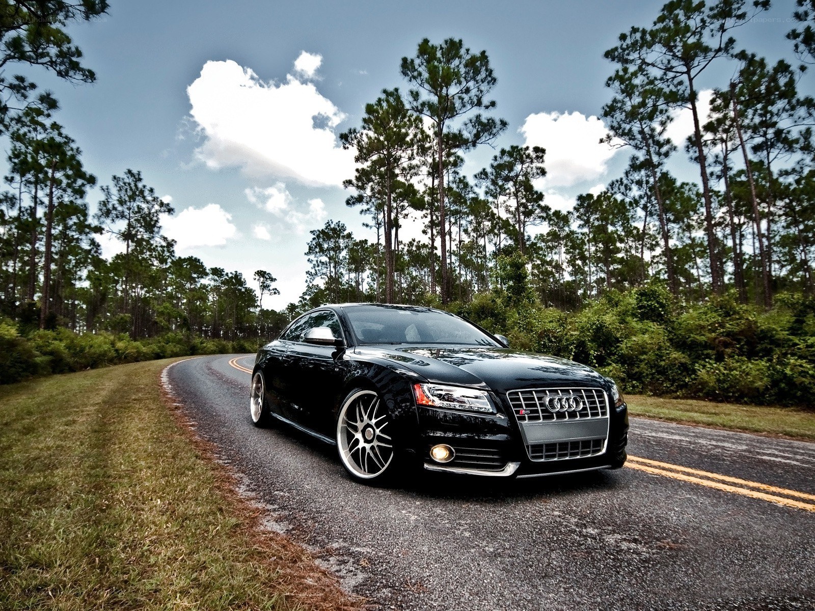 Black Audi on a forest road