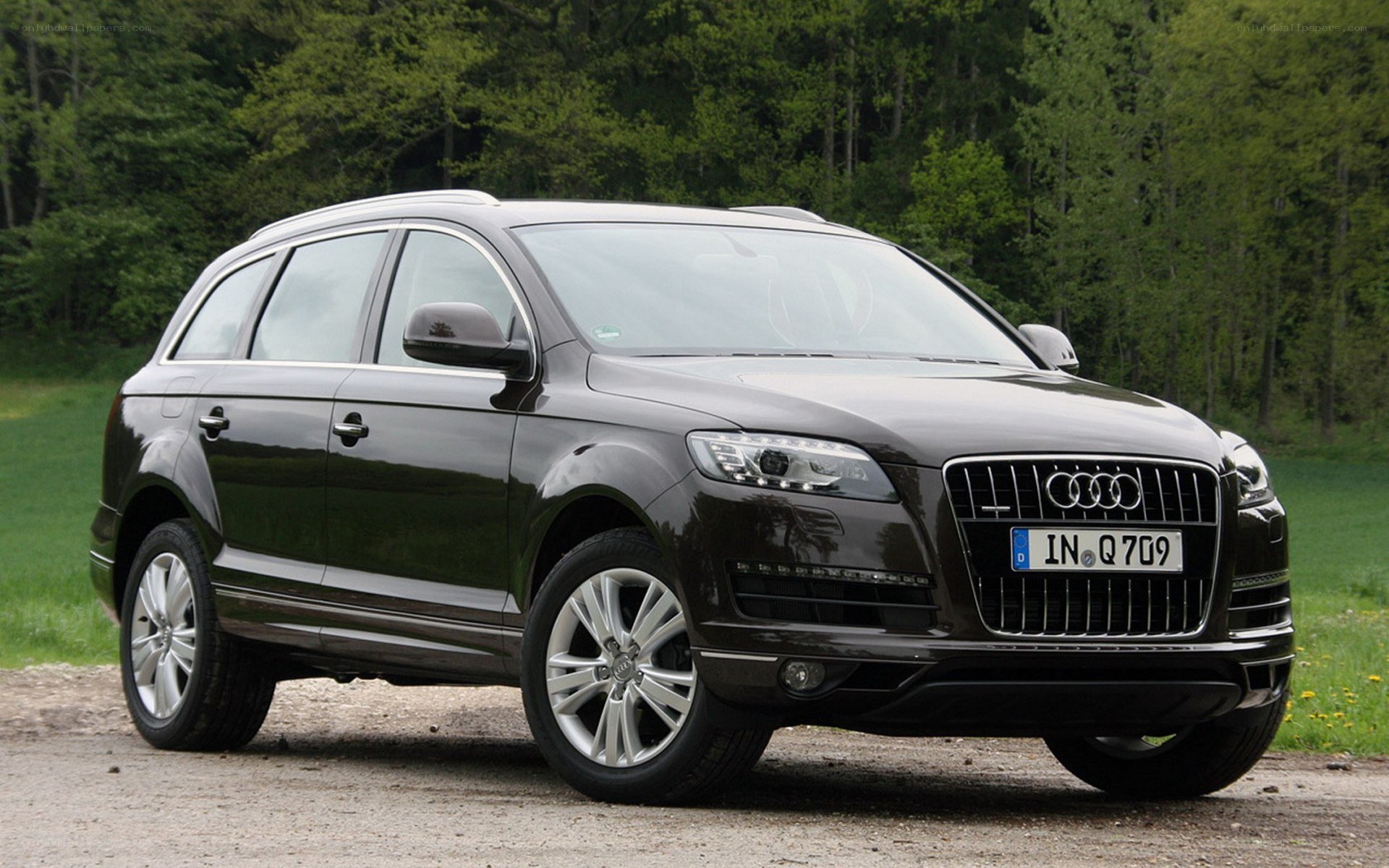 Black Audi Q7 in a forest