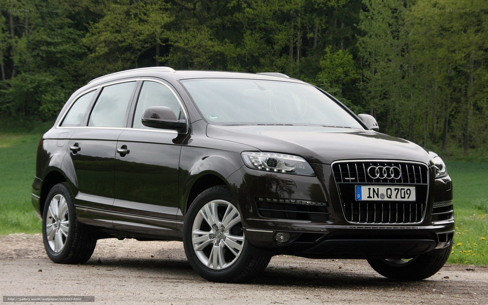 Black Audi Q7 in forest