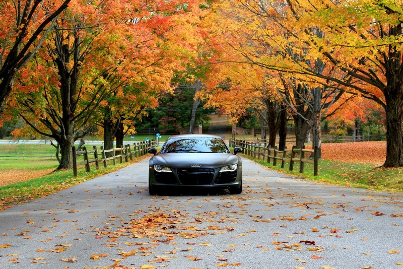 Black Audi R8 Car — Orange, Serene