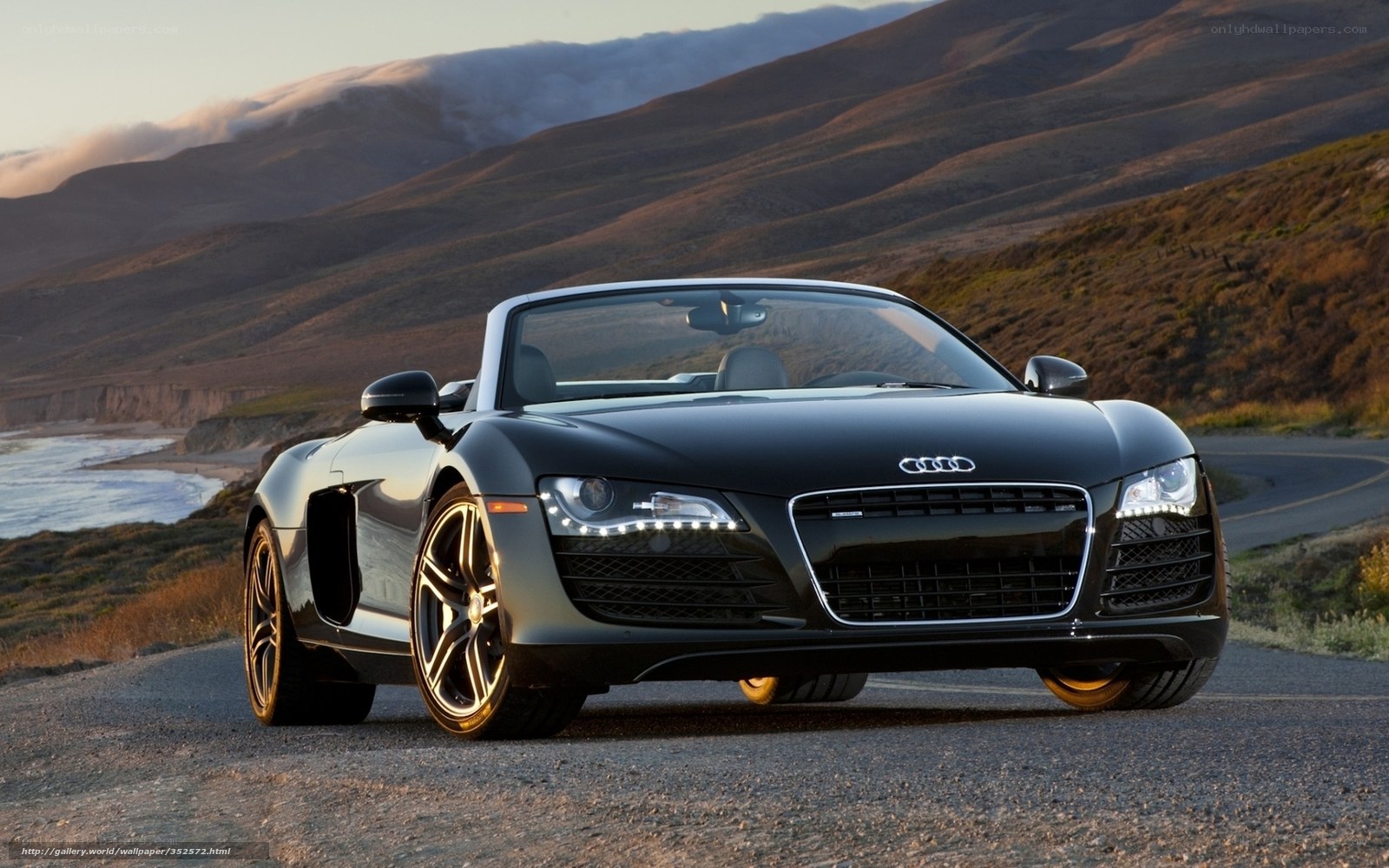 Black Audi R8 on coastal road