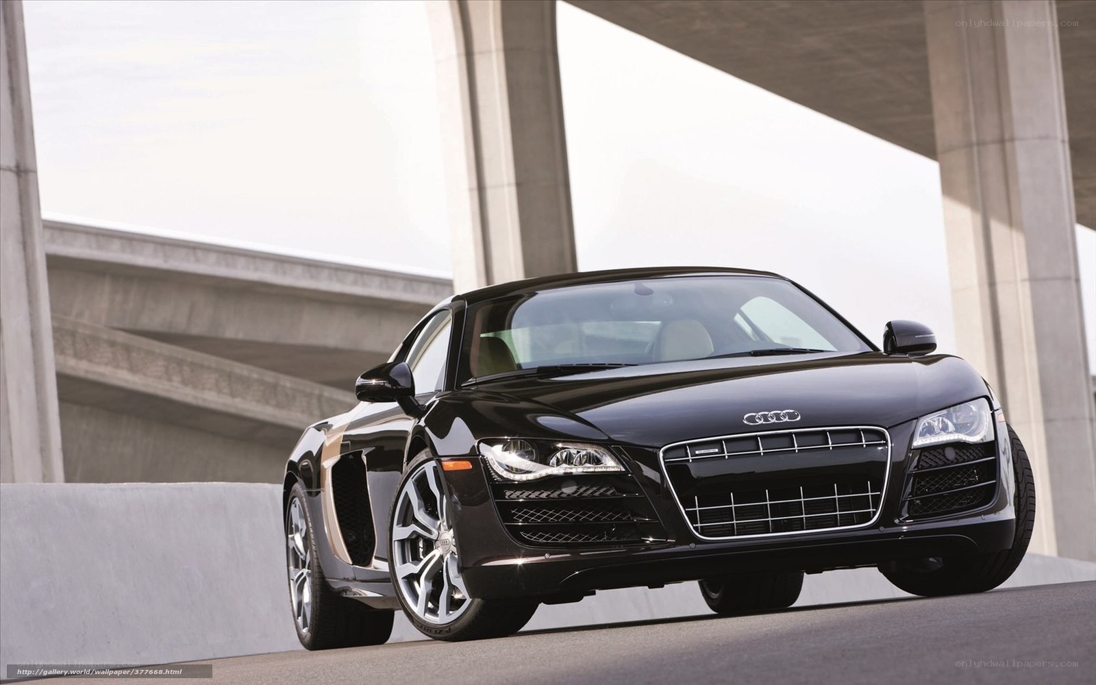 Black Audi R8 sports car