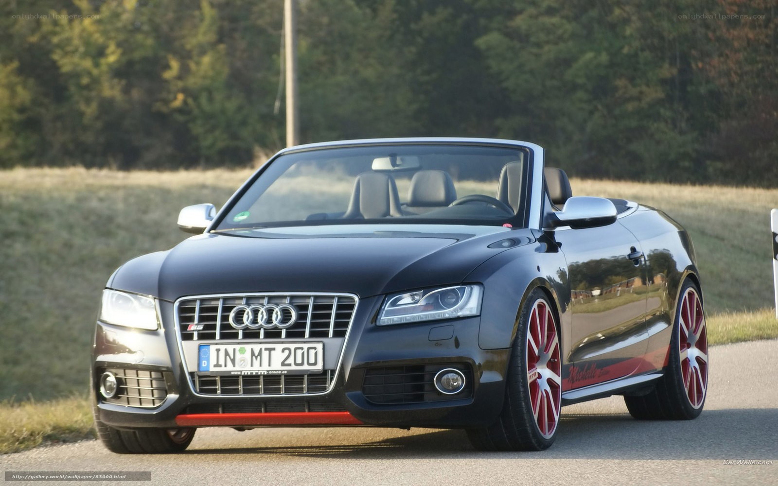 Black Audi S5 Cabriolet on road