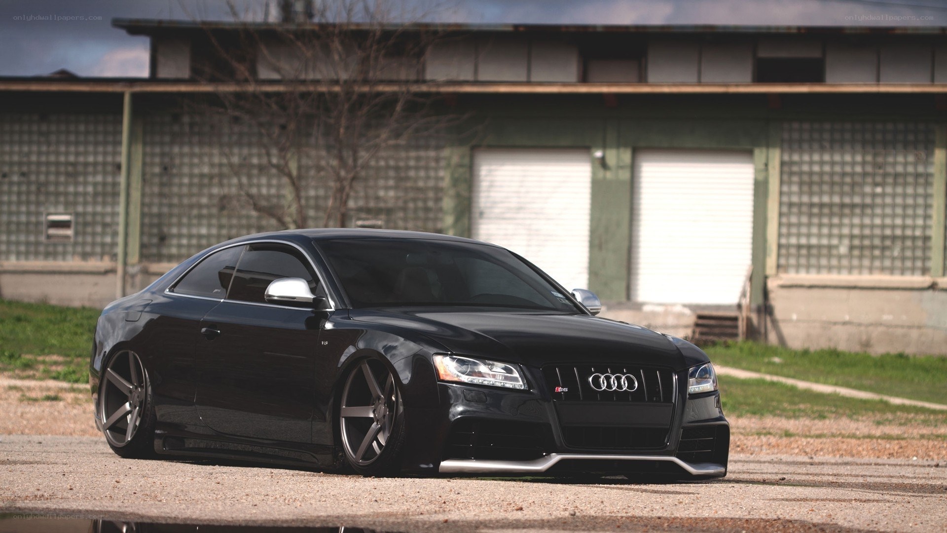 black audi s5 coupe