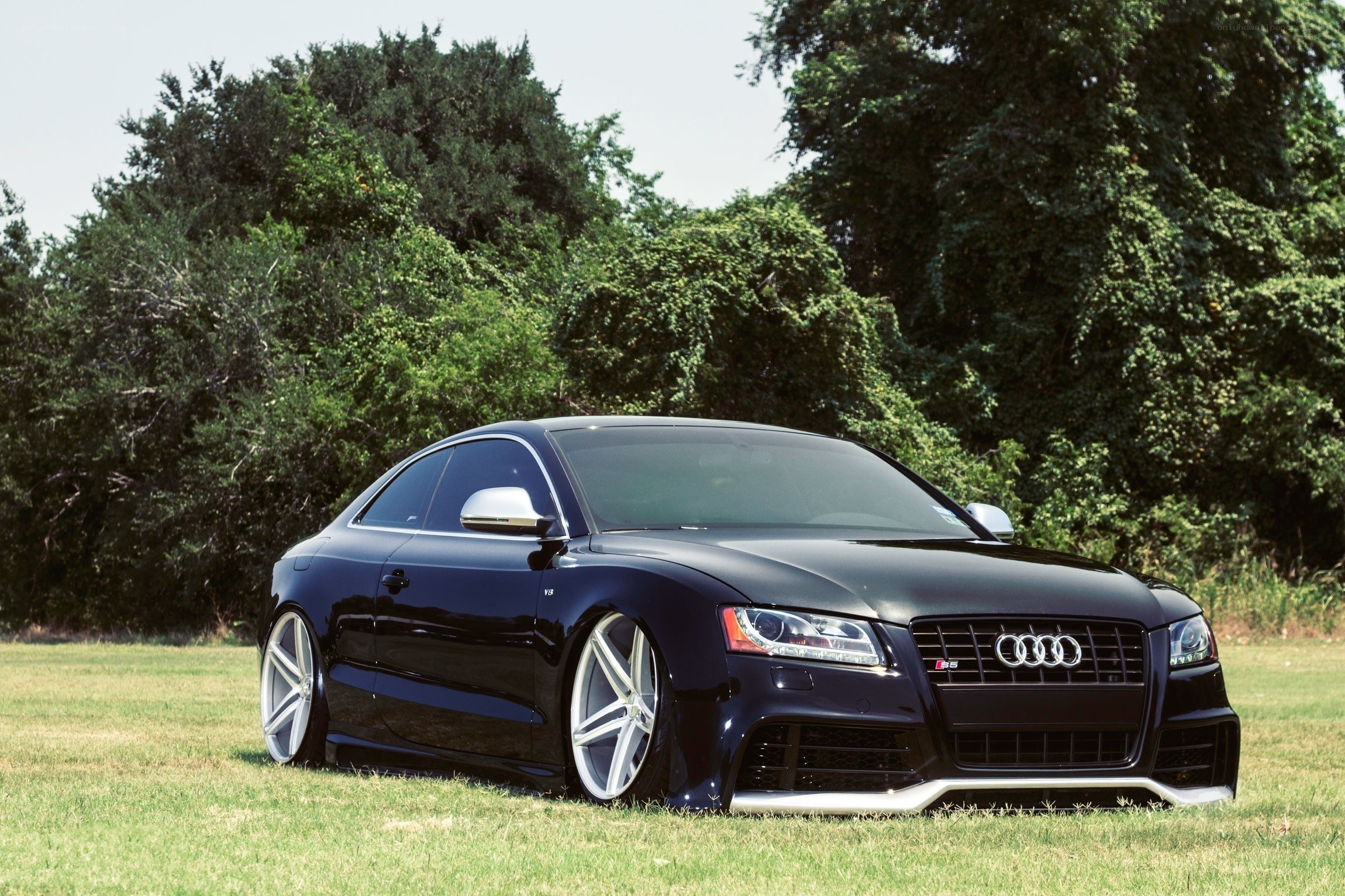 Black Audi S5 in a field
