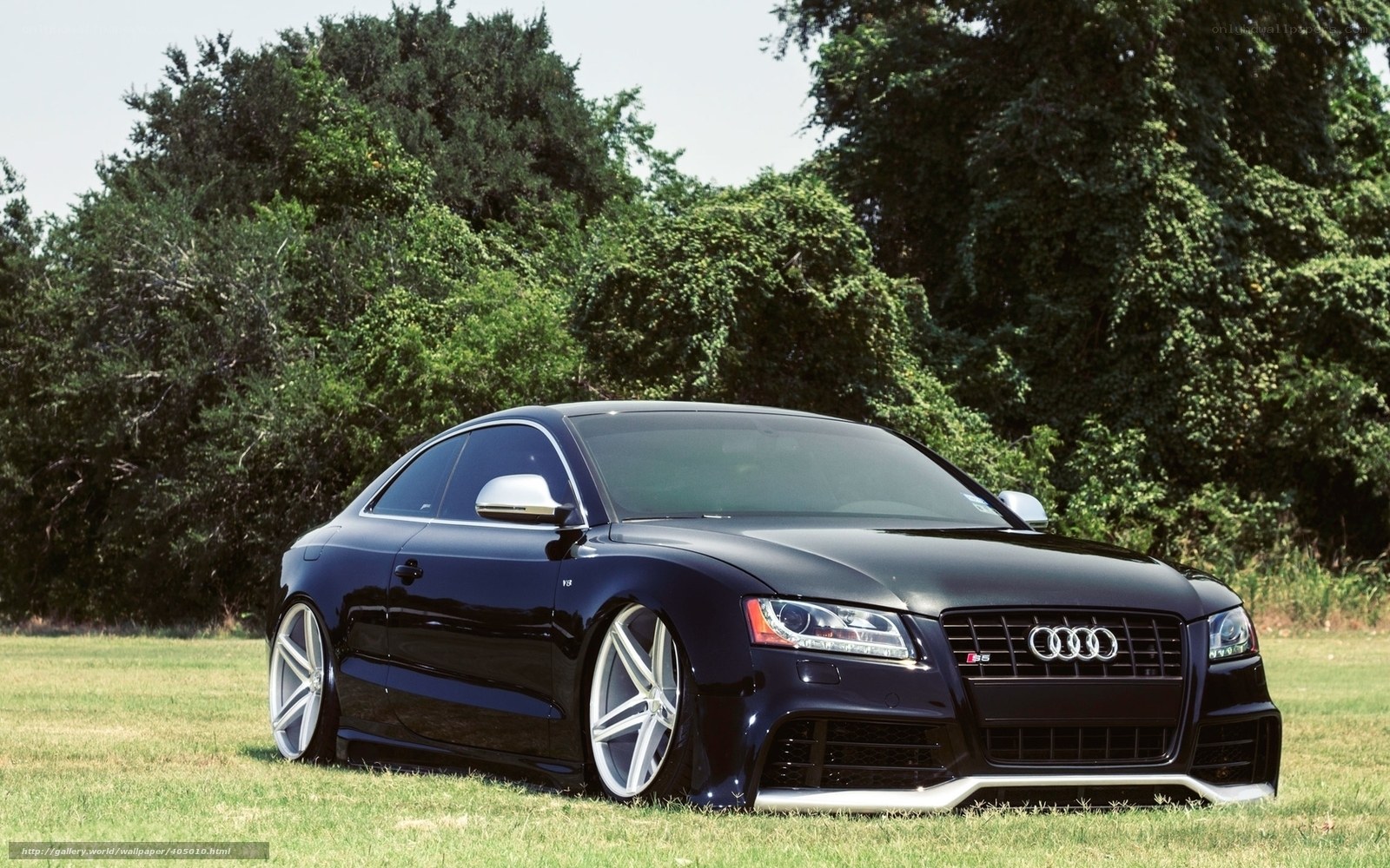 Black Audi S5 in a field