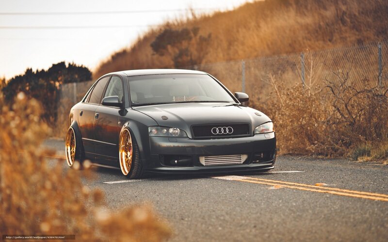Black Audi Sedan — Gray, Calm