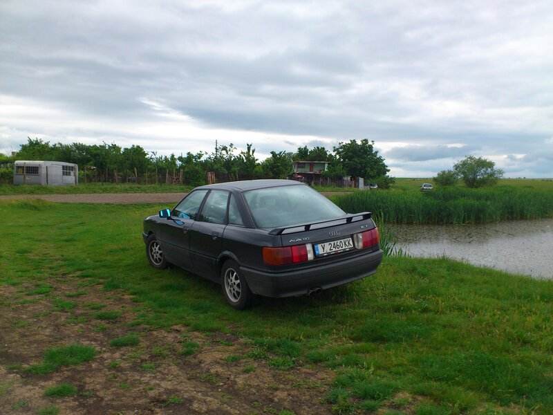Black Audi Sedan — Green, Overcast