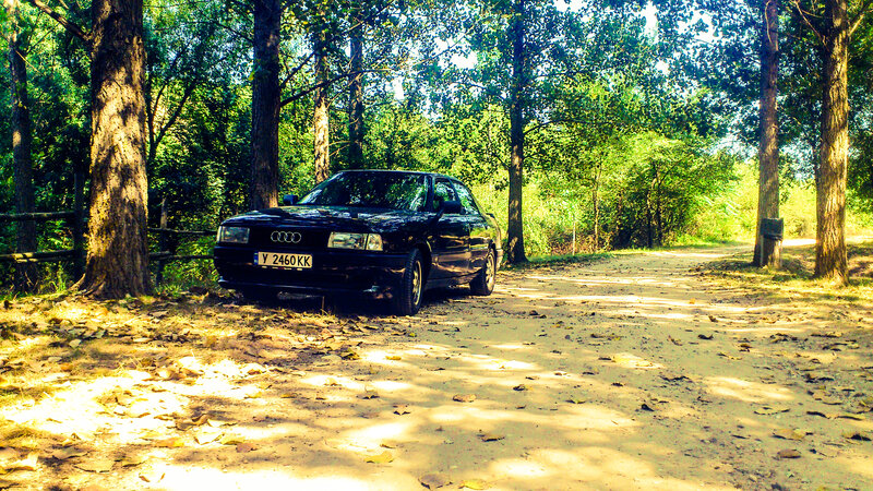 Black Audi Sedan — Green, Serene