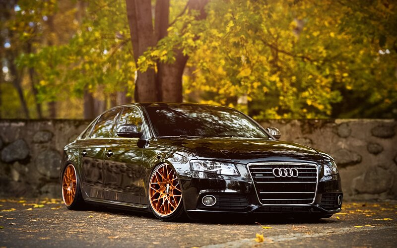 Black Audi Sedan — Serene, Autumn