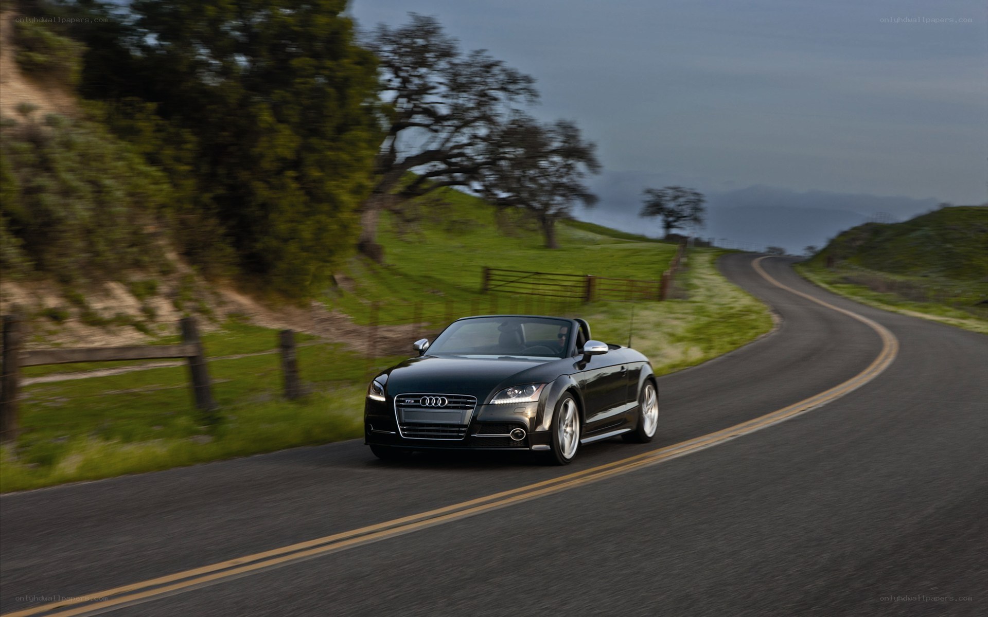 Black Audi TT on a winding road