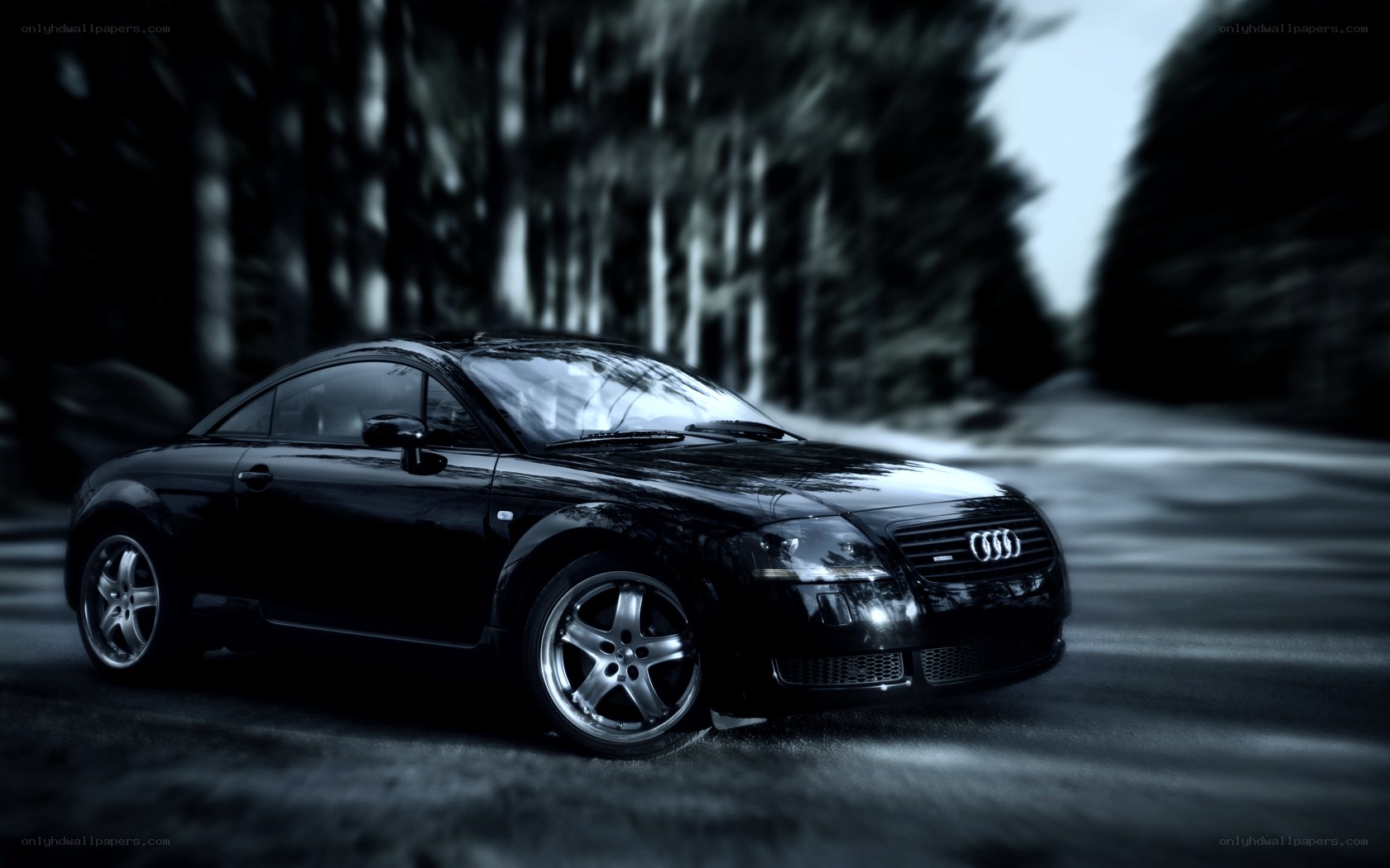 black audi tt on forest road