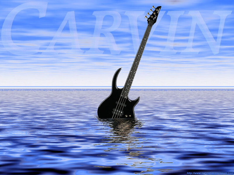 Black Bass Guitar in Water