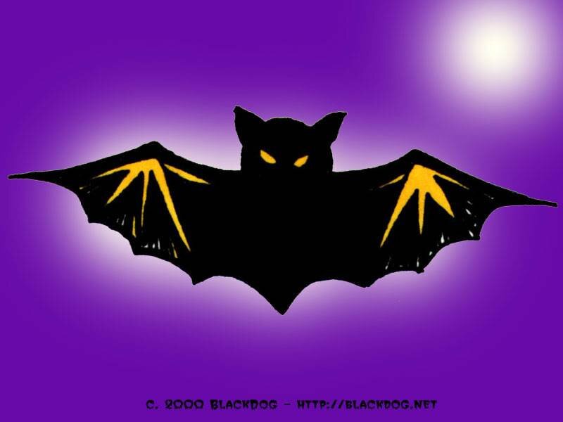 Black Bat with Yellow Eyes