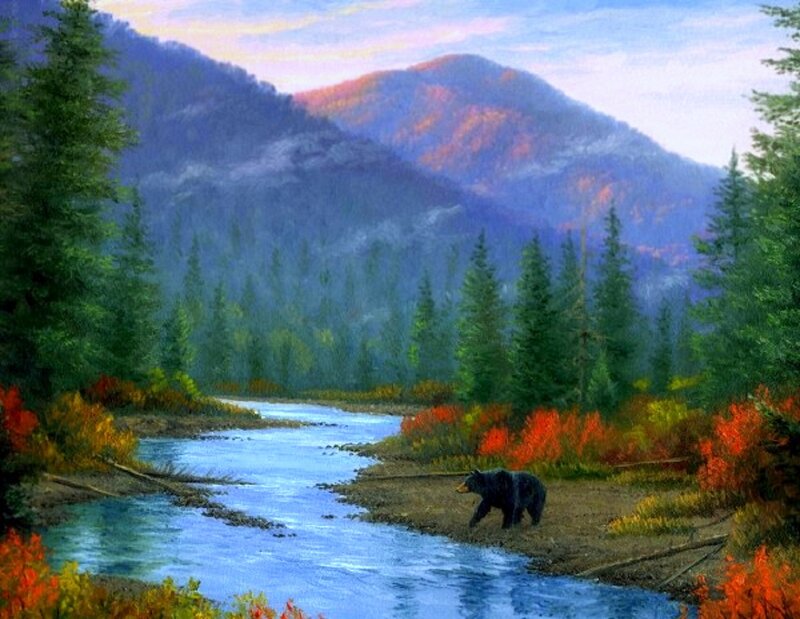Black Bear by River