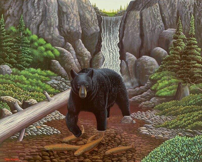 Black Bear Catching Fish