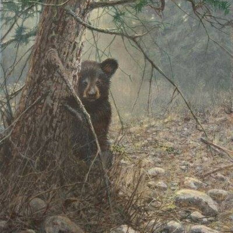 Black Bear Cub — Brown, Natural, Painting