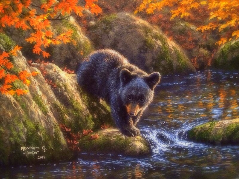 Black Bear Cub — Orange