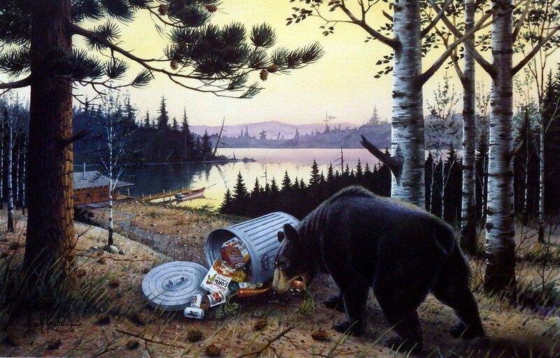Black Bear Eating Trash — Brown
