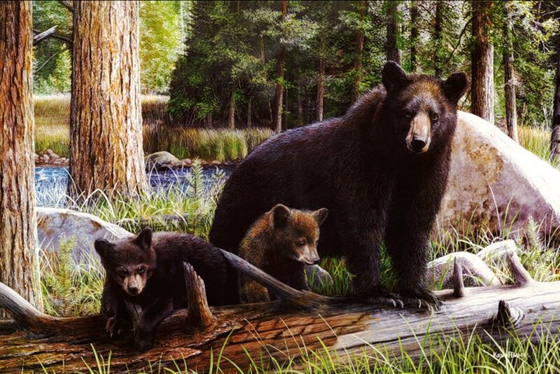 Black Bear Family — Brown, Serene